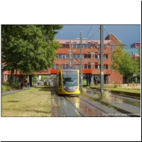 2025-09-11 °20 Heidelberglaan 6067+.jpg